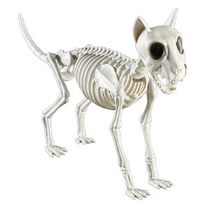 Collections Etc Creepy Detailed Cat Skeleton Halloween Decoration - 1 of 2