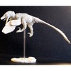Beasts of the Mesozoic: Build-A-Raptor Set B: Atrociraptor - 4 of 4