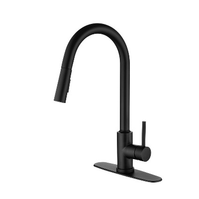 Grungis Single Handle Bathroom Sink Faucet,Bathroom Faucet with Pull Down Sprayer for Home Sinks