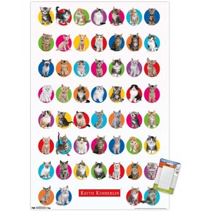 Trends International Keith Kimberlin - Kitten Grid Unframed Wall Poster Prints - 1 of 4