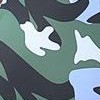 camouflage