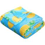 Noble House Extra Plush and Comfy Microplush Throw Blanket (50" x 60") Pineapple Fun