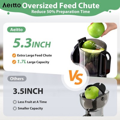 Gray Electric Masticating Juicer with Large Capacity