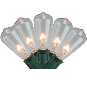 Northlight 20ct Transparent Mini Edison Style Summer Patio Lights Clear - 12.5' Green Wire - 1 of 3