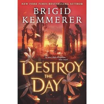 Destroy the Day - (Defy the Night) by  Brigid Kemmerer (Hardcover)