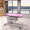 UbMelt 42.5 Inch Hydraulic Pet Grooming Table with Adjustable Arm and Noose for Medium/Large Dogs - 2 of 4