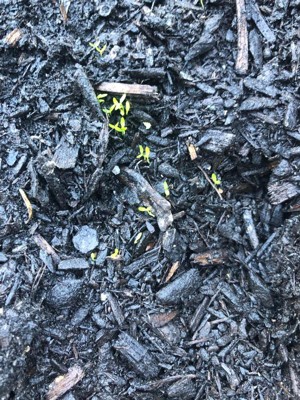 Guest review image 5 of 5, zoom in