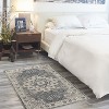 Nourison Concerto Vintage Medallion Indoor Area Rug - 2 of 4