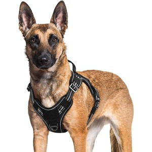 rabbitgoo Dog Harness for Large Dogs No Pull, l Handle, for Easy Walking and Training, Black, XL - 1 of 1