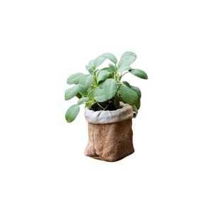 Slickblue Brown Cement Bag Pot, Mock Fold Style, Decorative Planter for Home or Garden, Small or Large Sizes - 1 of 3