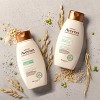 Aveeno Strength & Length Plant Protein Blend Vegan Formula Shampoo - 12 fl oz - image 4 of 4
