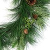 Northlight Long Needle Pine Berries and Pinecone Artificial Christmas Wreath - 26" - Unlit - 4 of 4