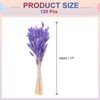 Unique Bargains Decorative Natural Dried Floral Bunny Tail Artificial Plants 120 Pcs - 2 of 4