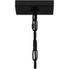 Quoizel Lighting Hazel 1 - Light Pendant in  Earth Black - 2 of 3