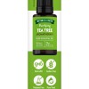 Nature's Truth Tea Tree Aromatherapy Essential Oil - 0.51 fl oz - 2 of 4