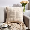 REGALWOVEN Striped Soft Decorative Throw Pillow Covers for Bed Sofa Living Room Farmhouse Home Decor 2 Pcs - 2 of 4