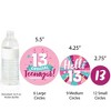 Big Dot of Happiness Girl 13th Birthday - Official Teenager Birthday Party Giant Circle Confetti - Party Decorations - Large Confetti 27 Count - 3 of 4