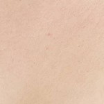 Soft Beige
