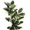 NicBex Artificial Tree 47" Tall Artificial Oak Tree with Black Pot, Room Decor for Home Office Foyer Porch - 3 of 4