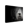 Trademark Fine Art -Lori Hutchison 'Sheepdog' Canvas Art - 4 of 4