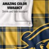 East Tennessee State University Campus Plaid Spirit Silky Touch Super Soft Throw Blanket 50x60 - 4 of 4