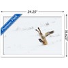 Trends International The Comedy Wildlife Photography Awards: Angela Bohlke - Diving Fox Framed Wall Poster Prints - 3 of 4