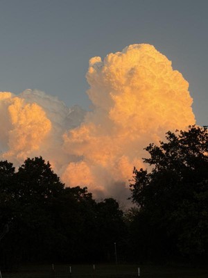 Guest review image 2 of 5, zoom in