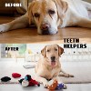 Nocciola 8-in-1 Poker Hands Dog Toy Set,Christmas gift,7 Plush Squeaky Toys with a Crinkle Pawker Pouch,Hide Toys for Small to Medium Dogs - 3 of 4