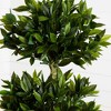 Nearly Natural 5-ft Triple Bay Leaf Topiary UV Resistant (Indoor/Outdoor) - image 3 of 4