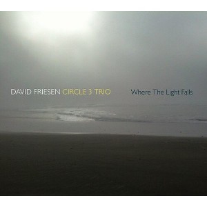 David Friesen & Circle 3 Trio - Where the Light Falls (CD) - 1 of 1