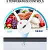 Commercial Cool Upright Freezer, Stand Up Freezer 6 Cu Ft with Reversible Door - 3 of 4