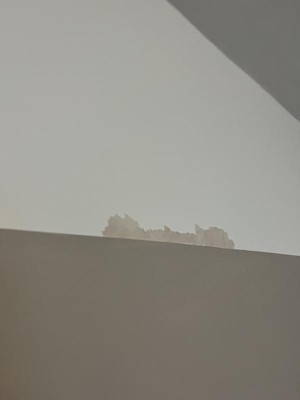 Guest review image 1 of 2, zoom in