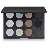 SHANY 12 Colors eyeshadow Palette