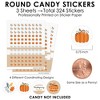 Big Dot of Happiness Happy Thanksgiving - Fall Harvest Party Small Round Candy Stickers - Party Favor Labels - 324 Count - 3 of 4