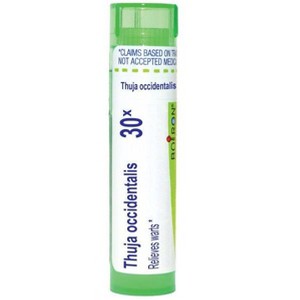 Thuja Occidentalis 30X by Boiron Homeopathic Single Medicine For First Aid  -  80 Pellet - 1 of 4