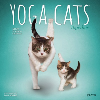 2022 Square Calendar Yoga Cats Together - BrownTrout Publishers Inc