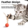 Pet Chicken Feather Bouncing Ball Lightweight Interactive Cat Dog Toy with Erratic Bounce Trajectory  Elastic Bouncy Cat Toys with Feather Tails - 3 of 4
