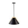 Artcraft Lighting Baltic 1 - Light Pendant in  Black/Brushed Brass - 2 of 4