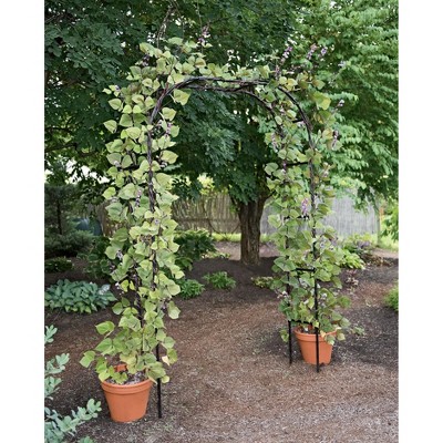 Titan Arch, Large Lightweight Metal Backyard Garden Arch For Climbing Plants - Gardener's Supply Company