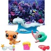 Littlest Pet Shop Petfluencer Pairs Shell-Fie Fun Dolphin & Otter, 2-Pack with Accessories, Ages 4+ - 3 of 4