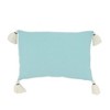 Saro Lifestyle Lake Side Serenity Down Filled Throw Pillow, Blue, 12"x18" - 2 of 3