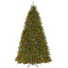 10' Prelit PowerConnect Dunhill Fir Artificial Christmas Tree Dual Color Lights - National Tree Company - image 2 of 4