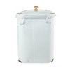 Distressed Rectangle Canister Metal & Wood - Foreside Home & Garden - 3 of 4