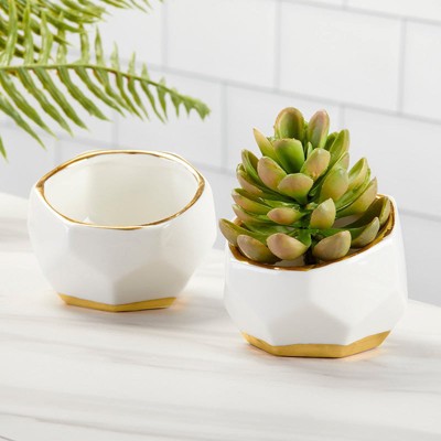 Small White and Gold Geometric Ceramic Planters Set