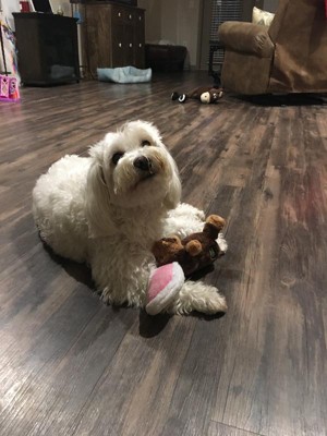 Guest review image 1 of 1, zoom in