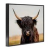 Stupell Industries Black Highland Cow Portrait, 30" x 24" - 3 of 4