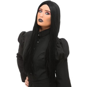 HalloweenCostumes.com  Women Women's Deluxe Witch Wig, Black - 1 of 1