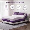 Sersper 8" Bamboo Charcoal Cooling Gel Memory Foam Mattress for Pressure Relief - Fiberglass Free -Medium Firm- Compatible with Platform Bed - 2 of 4