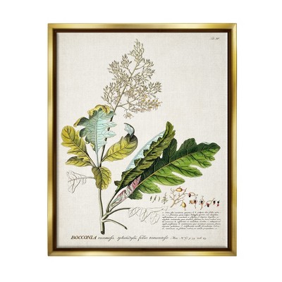 Stupell Industries Botanical Plant Illustration Leaves Vintage Design