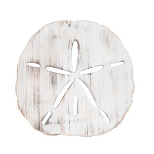 Beachcombers Sand Dollar Wall Art 14.96 x 14.96 x 0.47 Inches. - 1 of 2